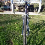 ceccherini vintage bicycles rental tuscany pisa