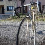 Moser bronzo vintage bicycles rental tuscany pisa