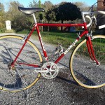 Olmo vintage bicycles rental tuscany pisa