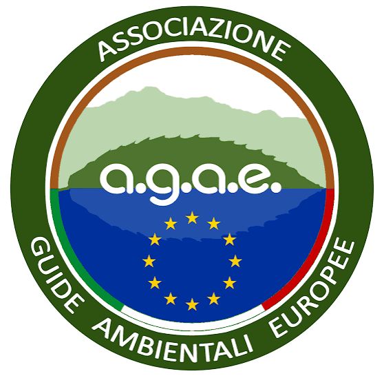 tuscay biking mountain bike guide logo